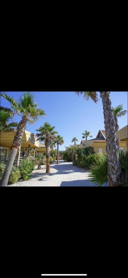 Camping Bungalow Toison D'or Tropez *